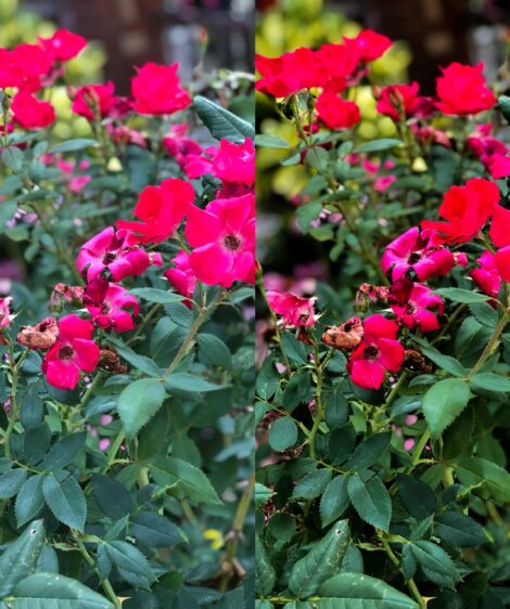 LIGHTROOM PRESET - VIBES - Image 3