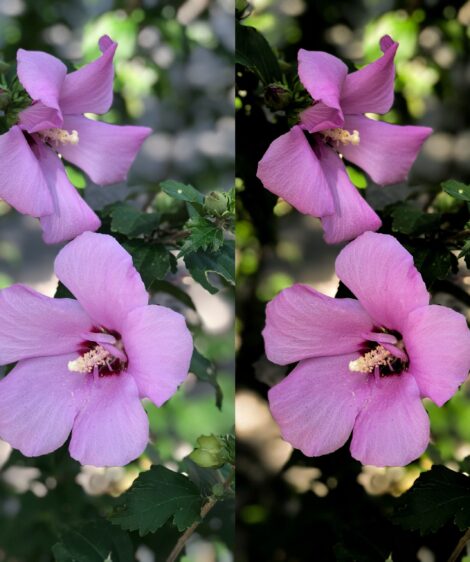 LIGHTROOM PRESET - VIBES